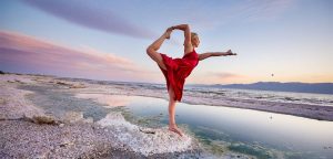 Lee más sobre el artículo Sociosqu ad litora torquent